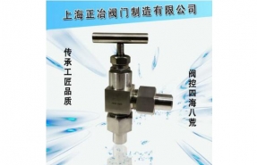進口角式針型閥